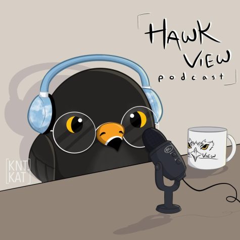 Hawkview Podcast: Dumb Injuries